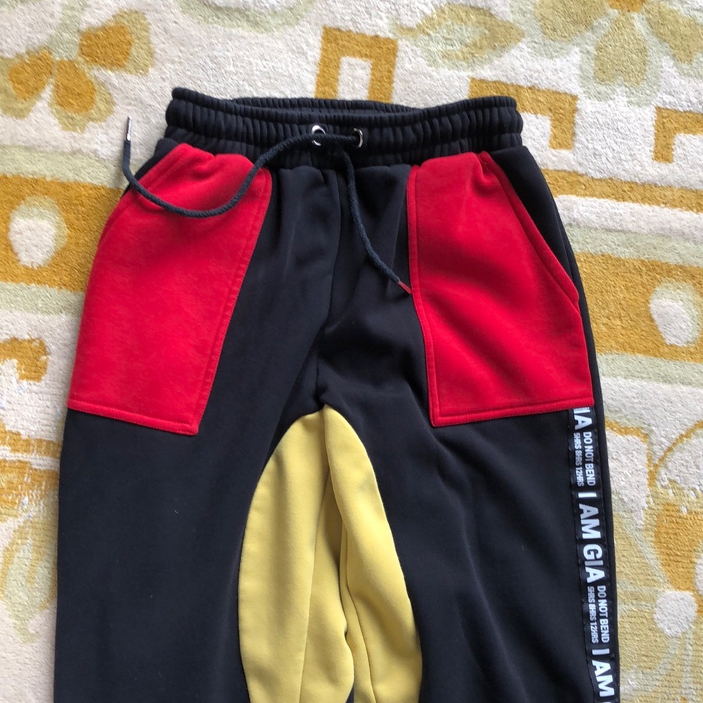 I am Gia color block sweatpants